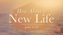 How About a New Life