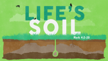 Life's Soil