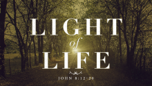 Light of Life